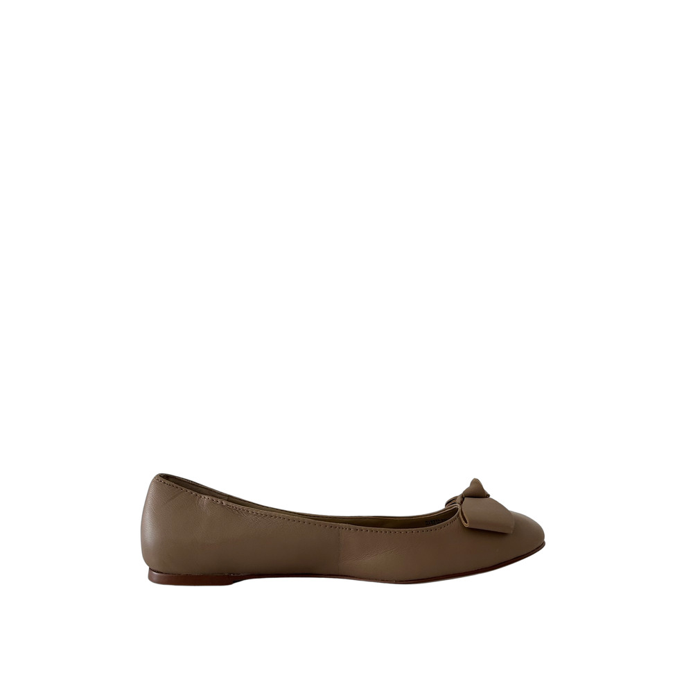 ANN TAYLOR
